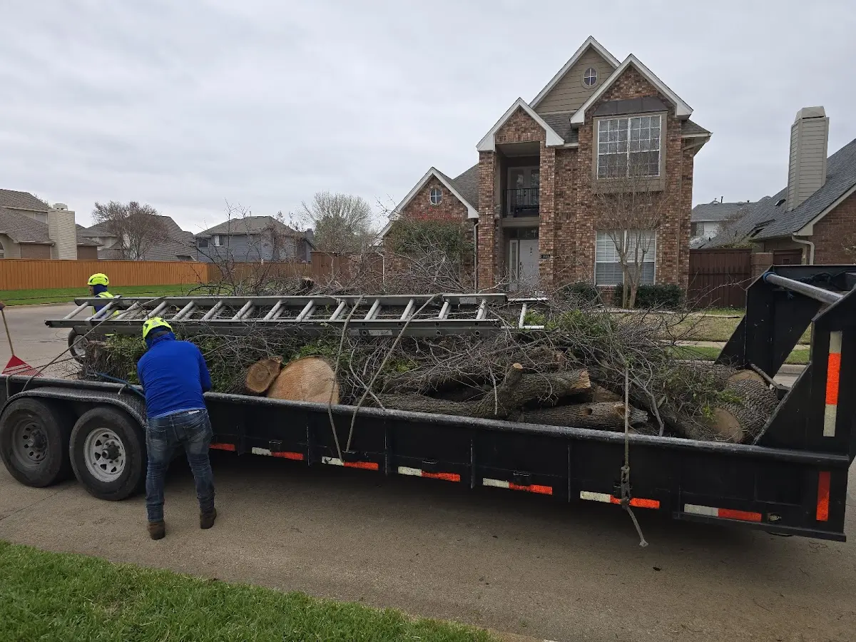 Expert Tree Fertilization with proper safety equipment in Nebo